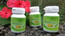 Harga Gracili Herbal di Apotek vs Toko Online