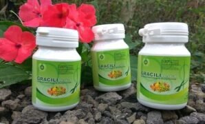 Harga Gracili Herbal di Apotek vs Toko Online