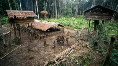 The World Until Yesterday : Belajar dari Masyarakat Tradisional