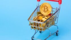 Begini Tips Beli Cryptocurrency Terbaik untuk Investasi Agar Tidak Boncos