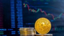 Tips Memilih Currency Online Terbaik untuk Investasi